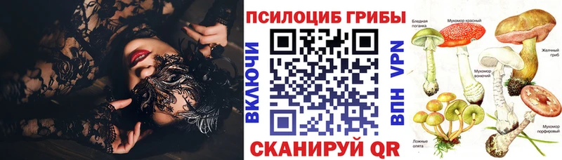 KRAKEN маркетплейс  Билибино  Псилоцибиновые грибы Cubensis 